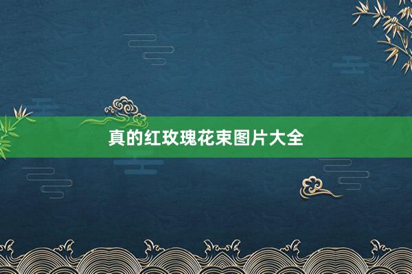 真的红玫瑰花束图片大全